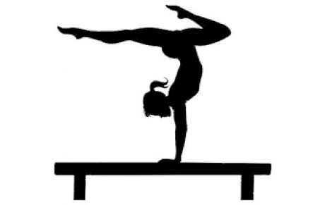 FFG COMPET POUSSINES